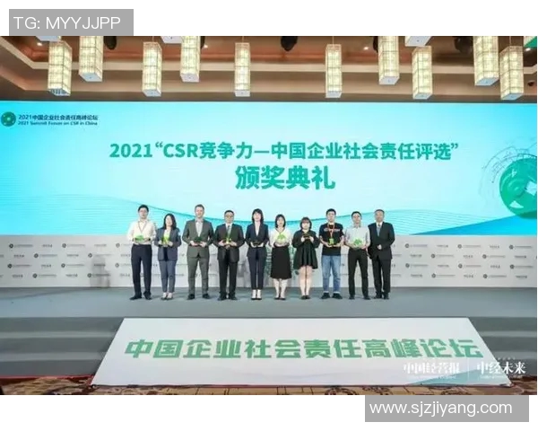 球员慈善行为影响力分析与社会责任承担研究报告